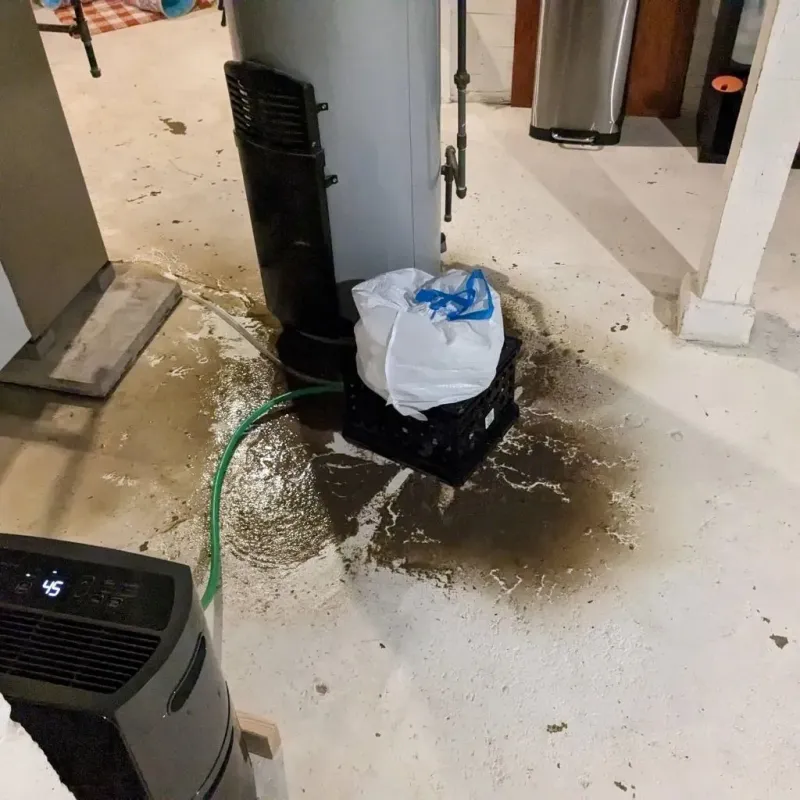 Sewage Backup Cleanup Service in Randolph, UT